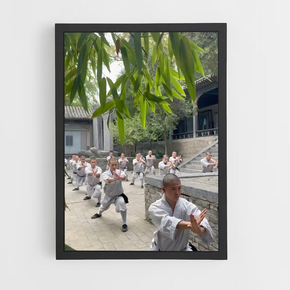 Poster Maîtres du Kung-Fu – affiche Kung Fu (vue 2)